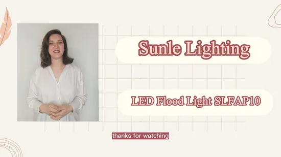 Holofote LED 10W 20W 30W 50W 100W 220V Holofotes Lâmpada de parede IP65 à prova d'água Refletor branco LED Refletor externo externo